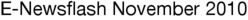E-Newsflash November 2010